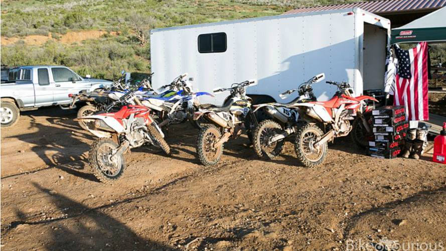 Vibrant, Absurd, And Everything In Between — Family Dirt Day